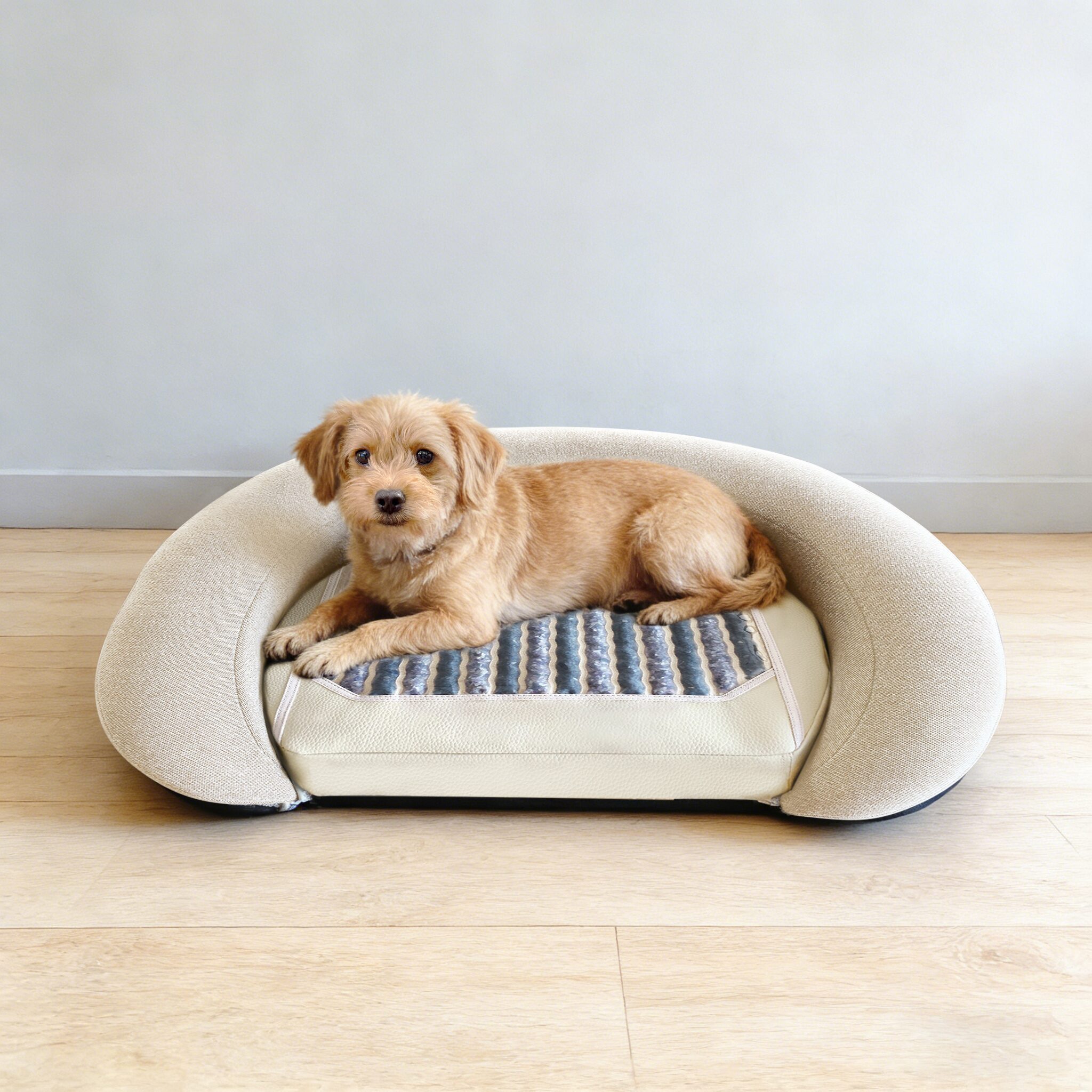 BiolifeTech PEMF Pet Mat